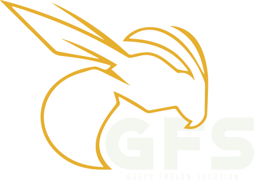 Logo GF Solution